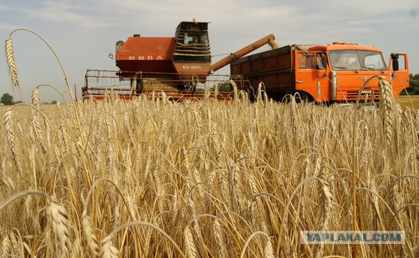 20-30 лет рабства?