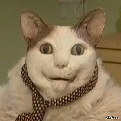 Кот наркоман - горе в семье.