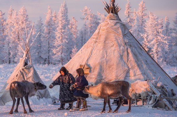 Моменты, запечатлённые на фото и просто позитив 5