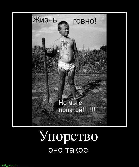 Картинки на сегодня