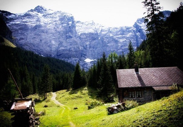 Моменты, запечатлённые на фото и просто позитив 5