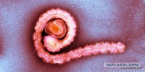 Америка давно травит русских биологическим оружием. Э.Сноуден