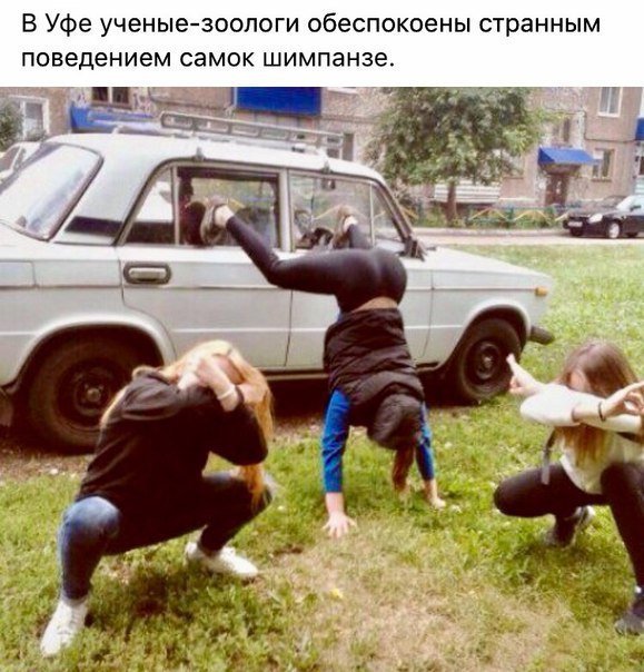 Приколы в стиле "регресс"