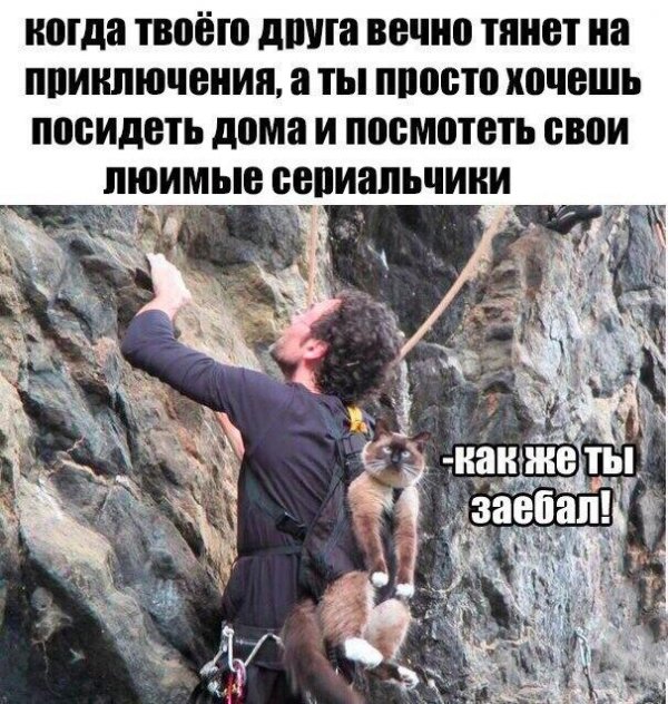 Приколы в стиле "регресс"