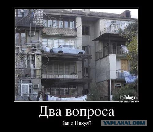 27 фото, на которых происходит непонятно что