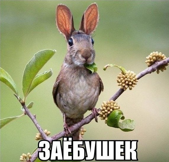 Фантастические животные