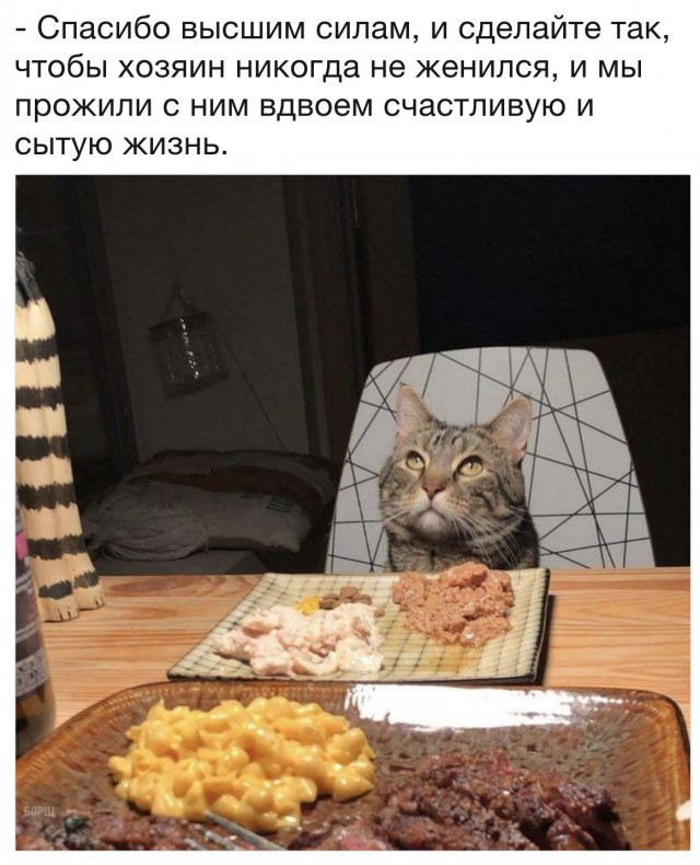 Всякая всячина из инэта