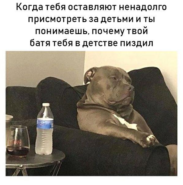 Подборка интересных и веселых картинок 21.10.18