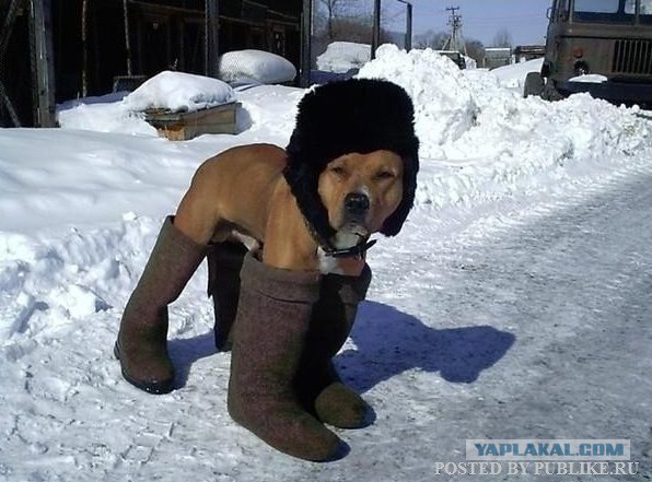 Это что - завтра весна? Да лааадно!