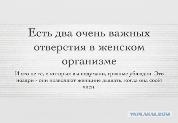 Картинки из этих ваших интернетов!