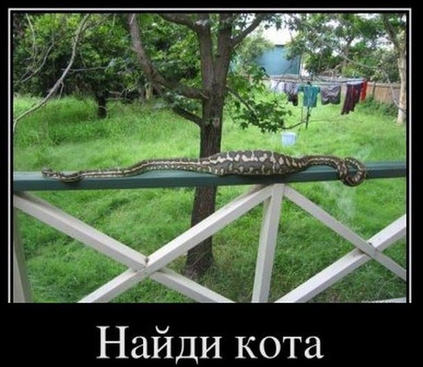 Демки и ностальджи