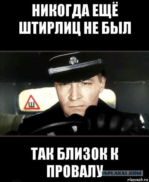 Троллинг высшего уровня