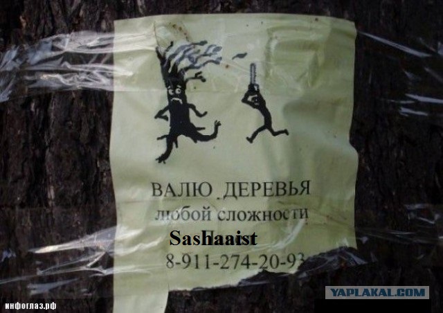 Перлы 16.12.19
