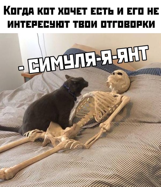 Подеградируем