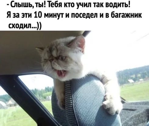 Пара-пара-пам! Фьють! 09.04.20