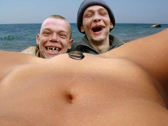 Ракушка и море