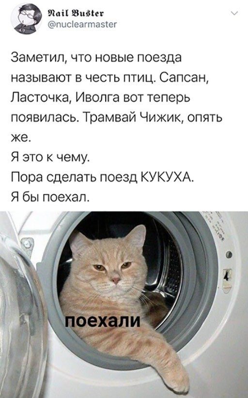 Немного картинок для настроения 20.10.20