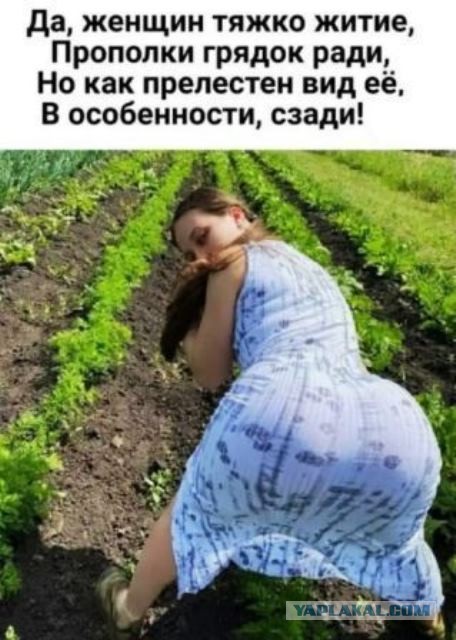 Баянисто-небаянистый юмор 06.09.21