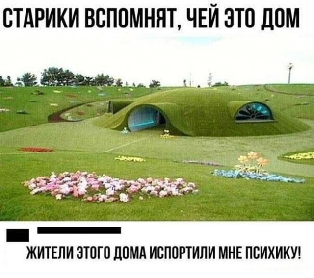 Картинки и мемы для настроения  - 31