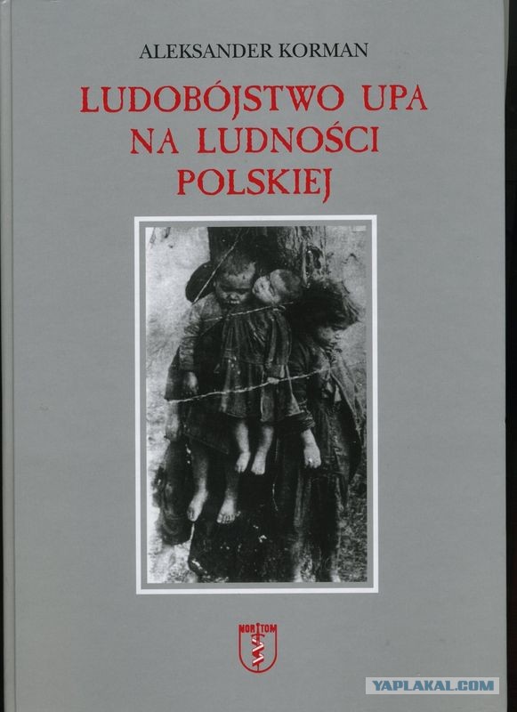 Шествие украинских националистов в Лодзи (Польша)
