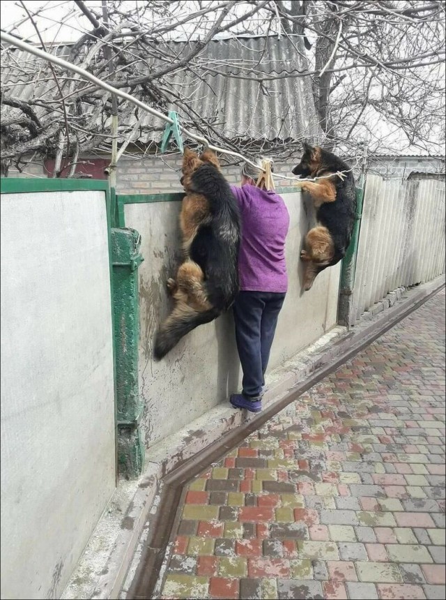 Картинки и мемы для настроения - 29