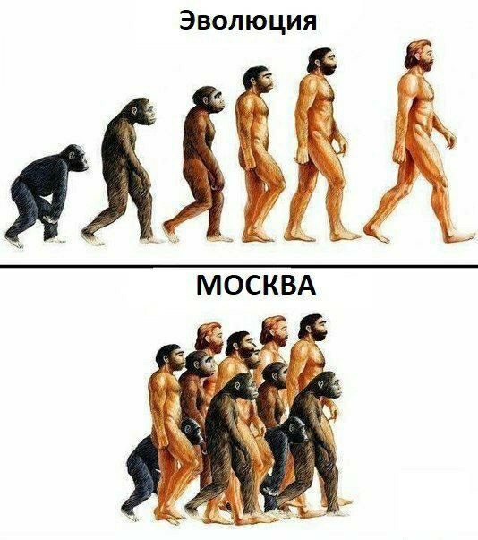 Разборки