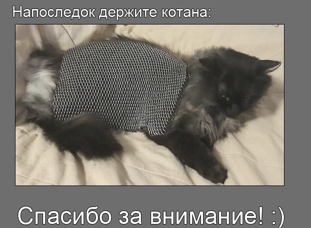 В Татарстане появилось объявление о продаже… кольчуги для кота
