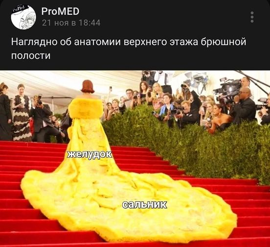 Кстати, где палач?