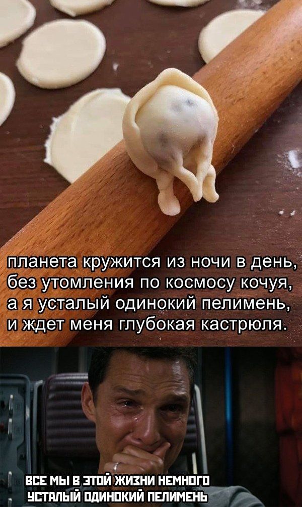 Весёлый полтишок 19.01.23