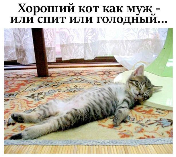 Картинки и мемы, всем хороших выходных