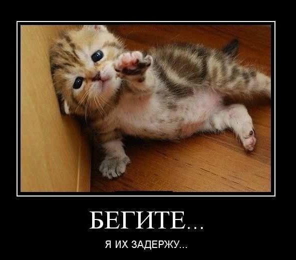 Как быстро решить любой конфликт