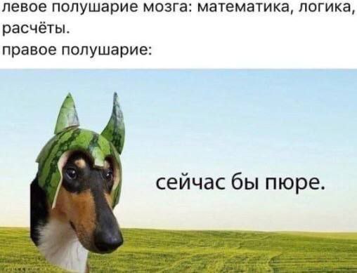 Картинки и мемы, всяко разно - 175
