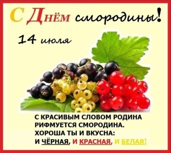 За дядю Митю!
