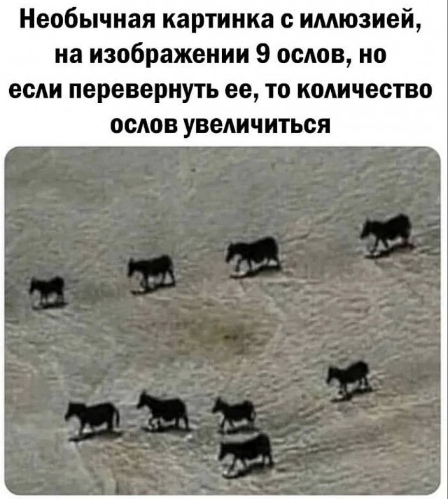 Так себе картинки 01.08.23