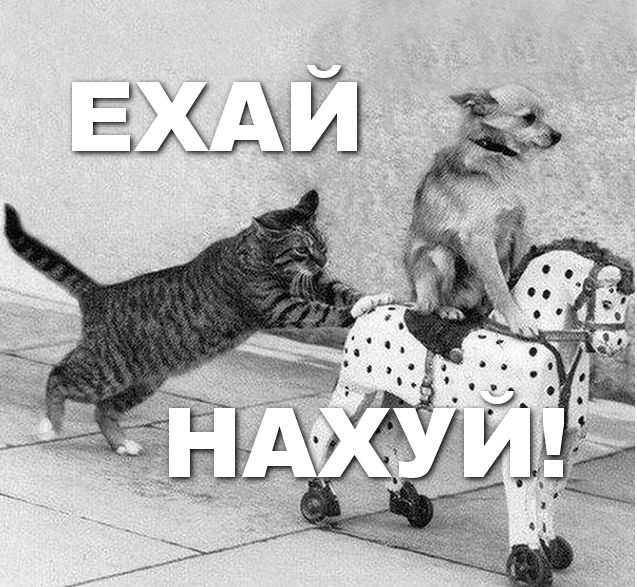Мигранты внезапно побежали из России: Ультиматум или хитрый план ?