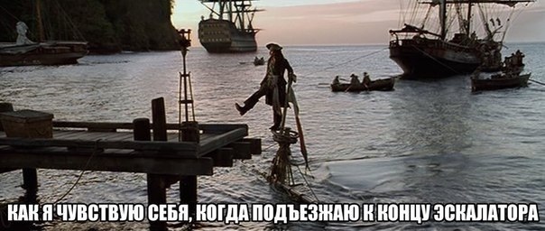 Бояны 10-ти летней выдержки