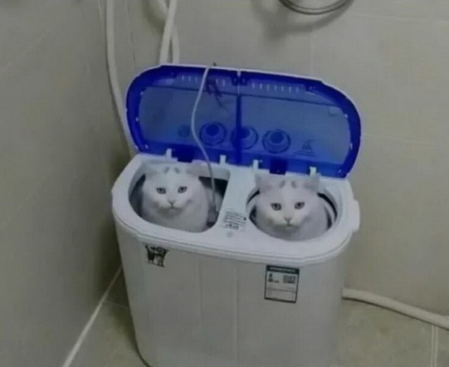 ФотоВинегрет