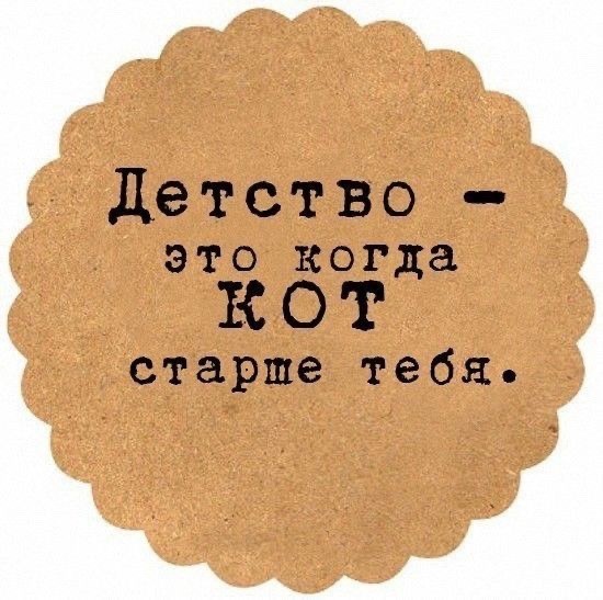 19099358.jpg