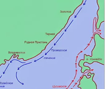 Мужчина выпал за борт судна, справляя нужду в Приморье