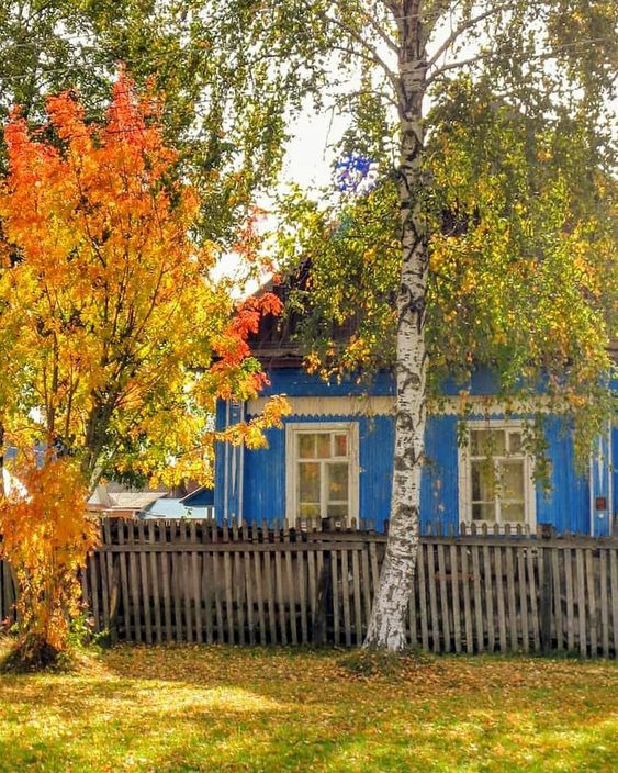 Прикольные и просто красивые картинки 01.10.2024