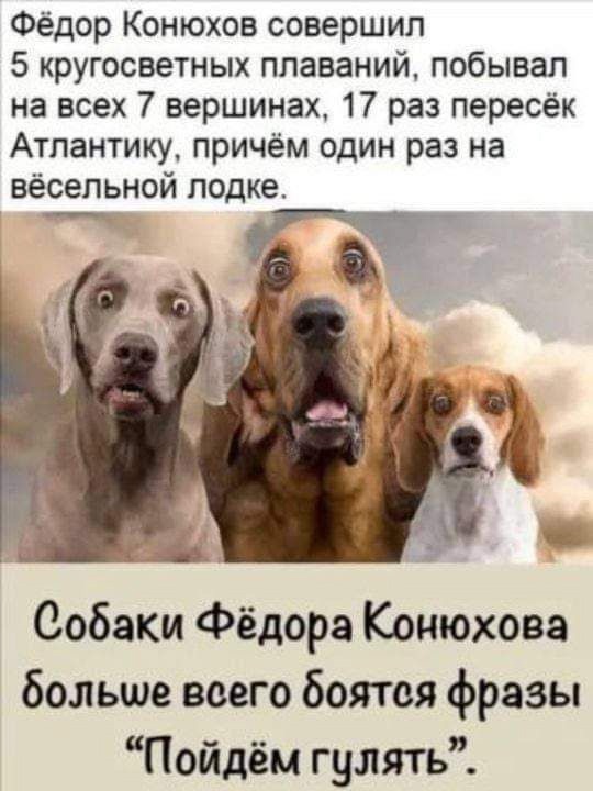 Так себе картинки 19.10.24