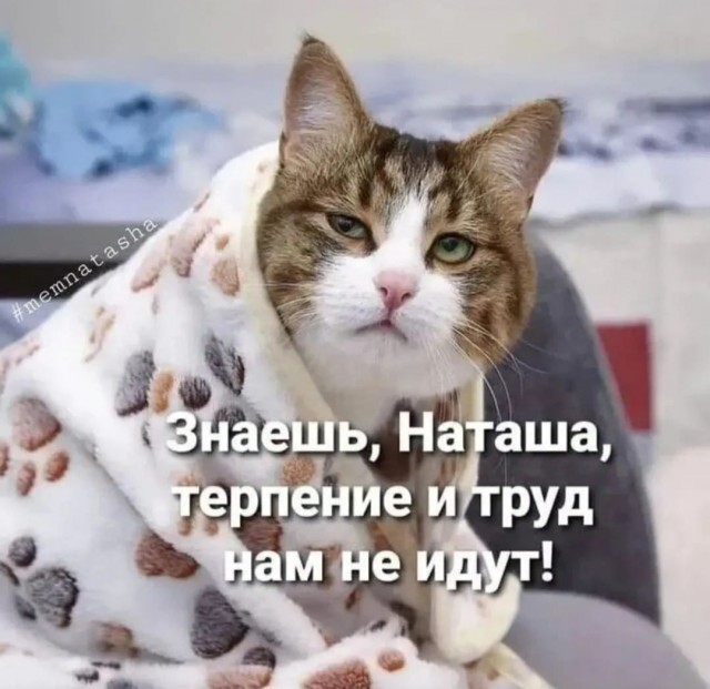 Весёлые картинки