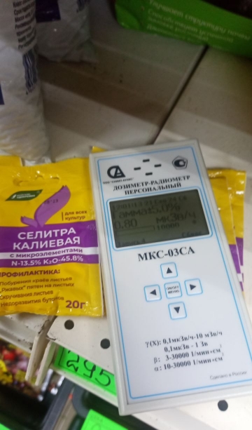 В Домодедово задержали россиянку, пытавшуюся провезти радиоактивный песок из Индии