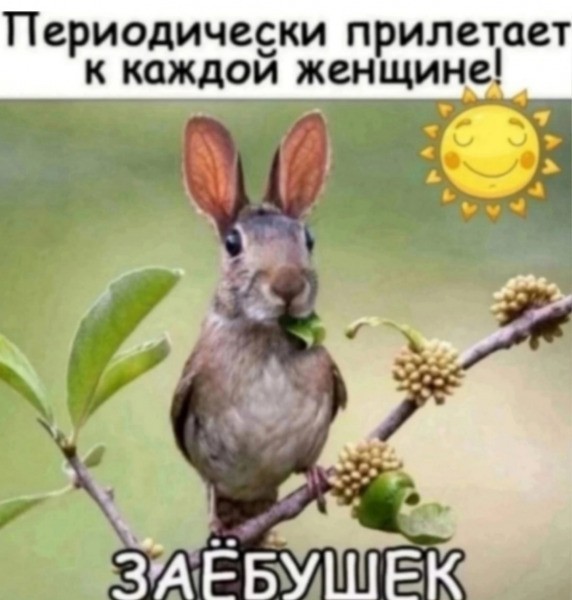 Сократить приём в вузы Москвы и Питера студентов из регионов призвала спикер Совфеда Валентина Матвиенко