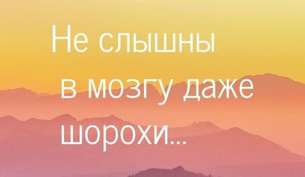 Зовите Андрюшу Князева