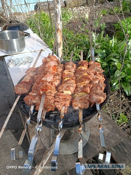 Шашлык и запрет на разведение огня