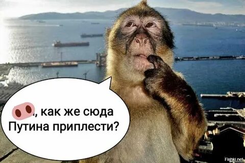 Сильно эту шаланду качнуло…