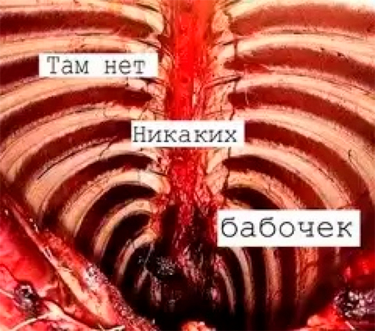 Человек изнутри