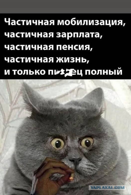 Веселое настроение в картинках (28.09.2025)