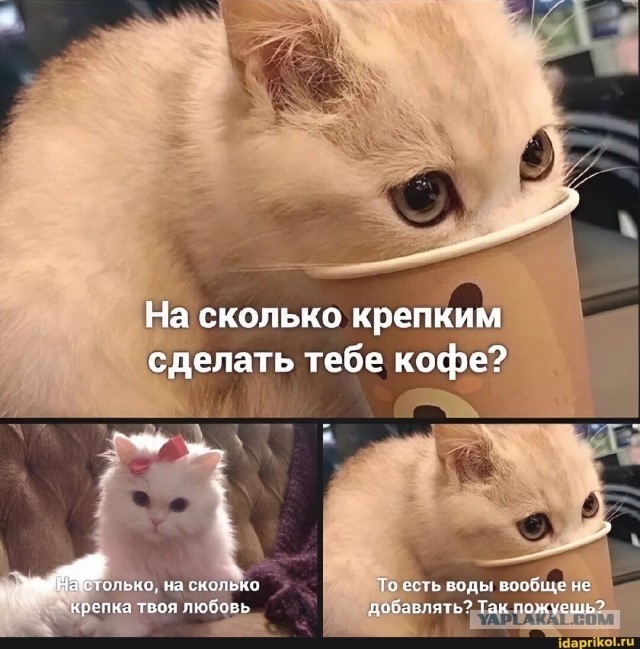 Картинки для деградации 60 (разной степени свежести)